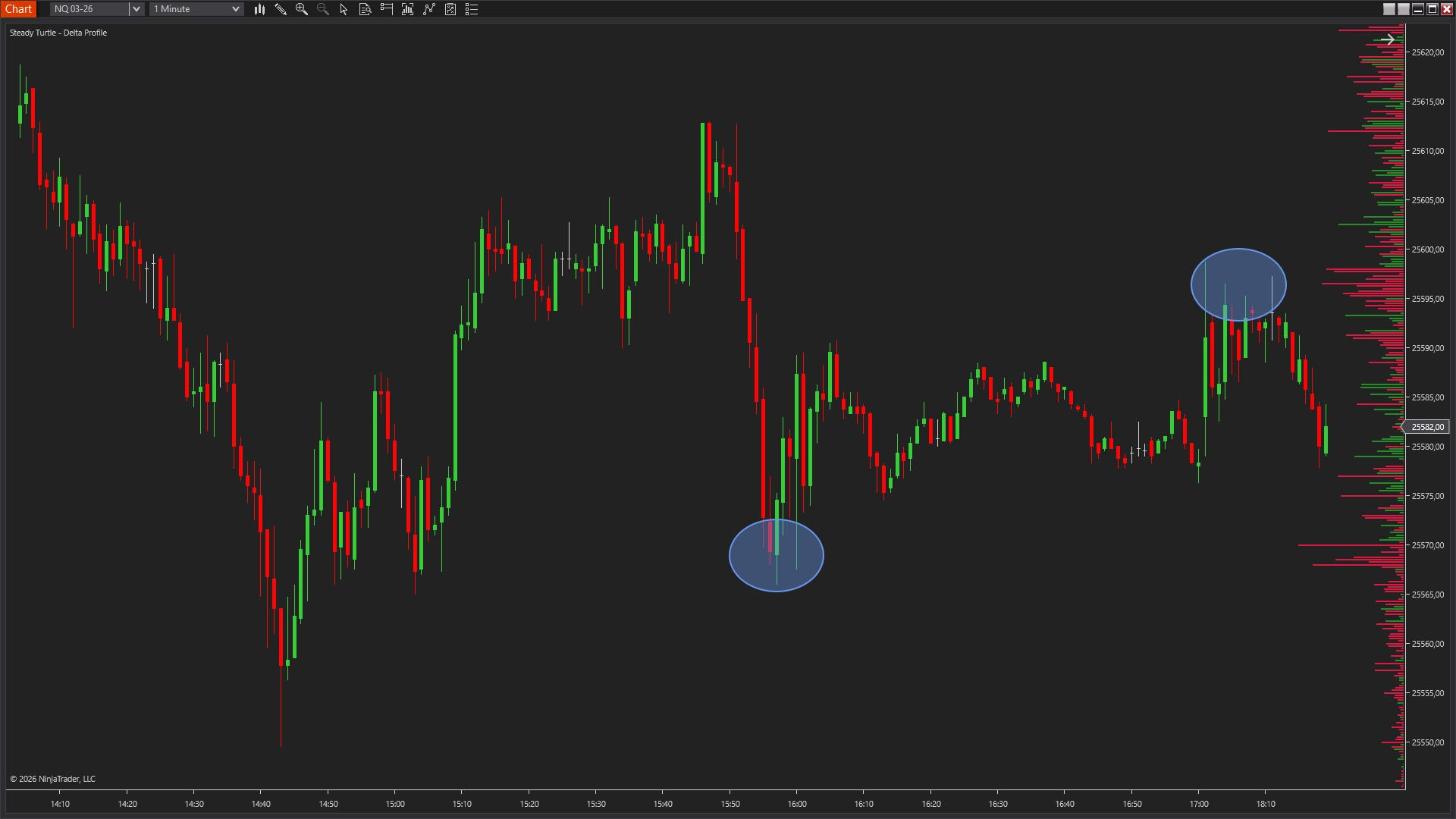 Delta Profile showing absorption zone with large positive delta at support